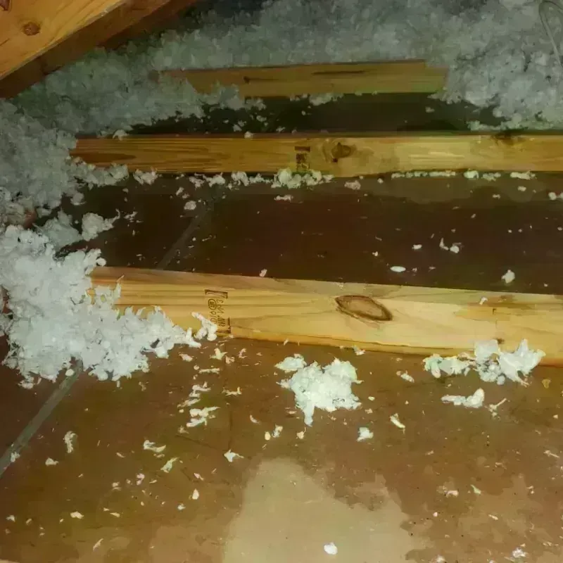 Attic Water Damage in Carroll County, MS